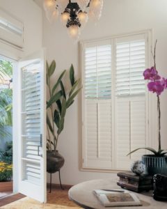 window shade in your Raleigh NC 240x300