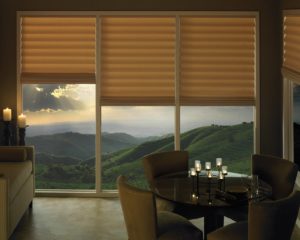 windows blinds for your Raleigh NC 1 300x240